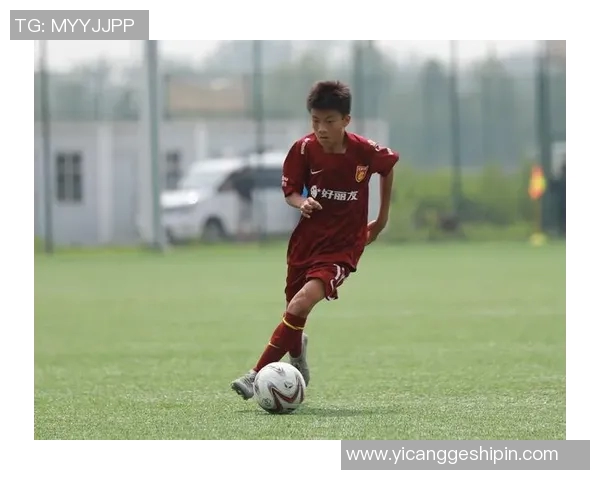 陶伟足球的魅力与发展探索：从青训到职业联赛的全景分析